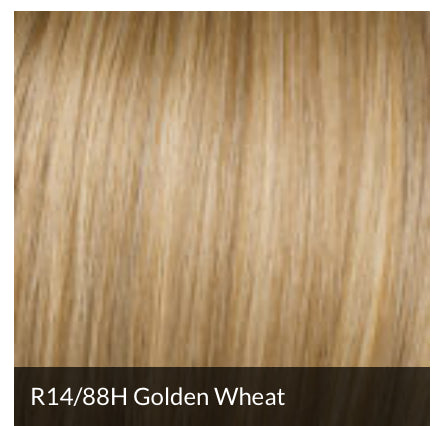 Clearance - Hairdo - Sleek For the Week - open boc
