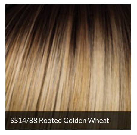 Clearance - Hairdo - Sleek For the Week - open boc